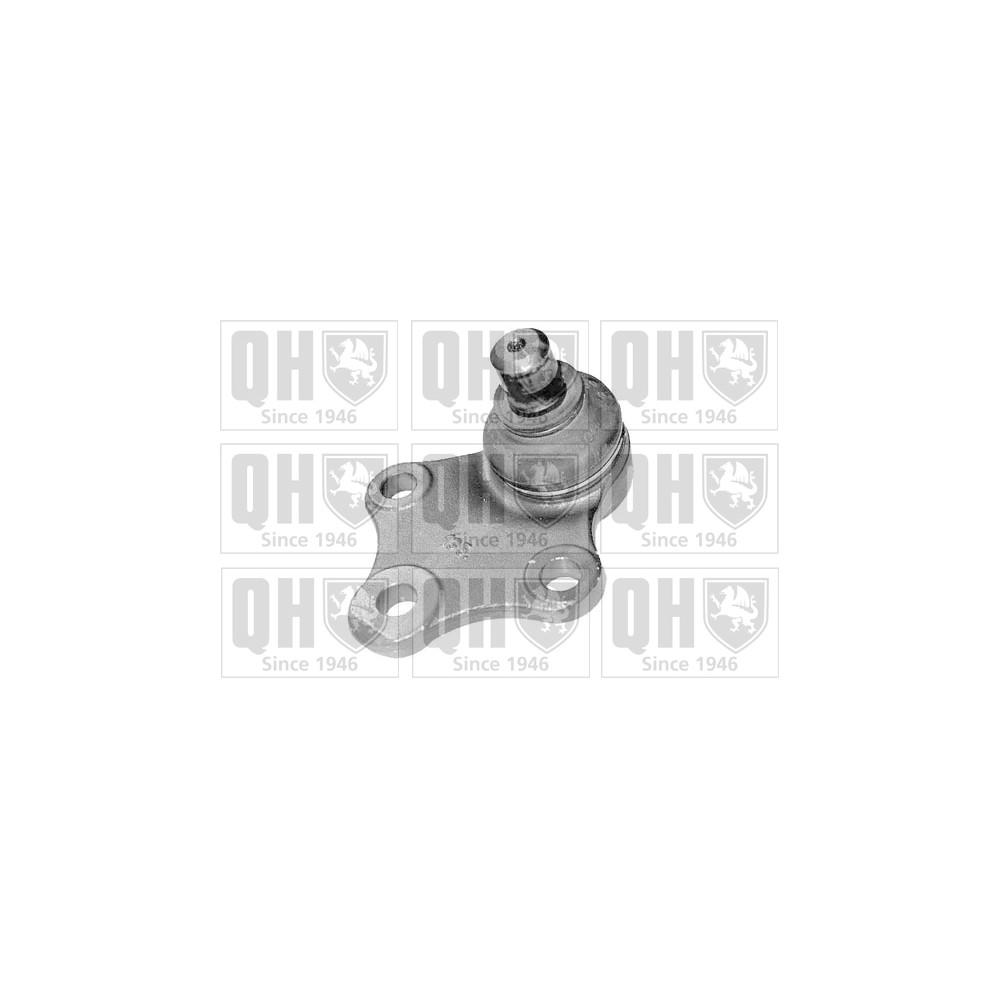 Image for QH QSJ1600S Ball Joint - Front Lower LH & RH