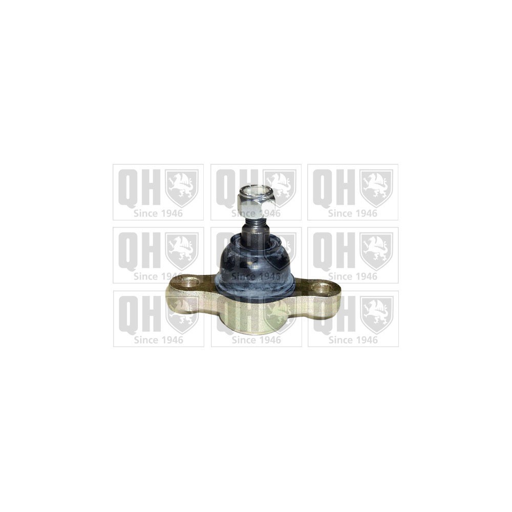 Image for QH QSJ1904S Ball Joint - Front Lower LH & RH