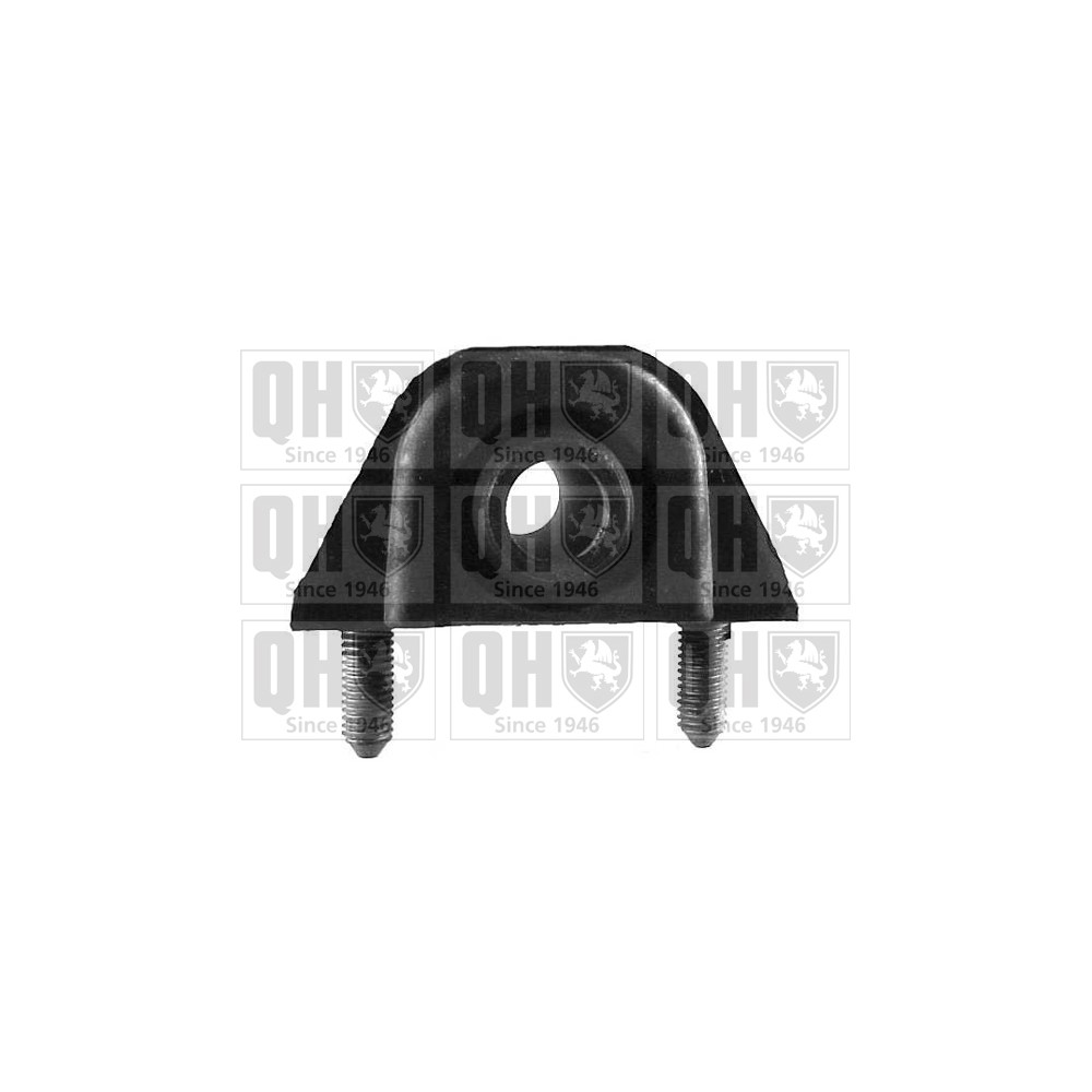 Image for QH EMS3186 Suspension Arm Bush - Front Lower LH & RH (Rear)