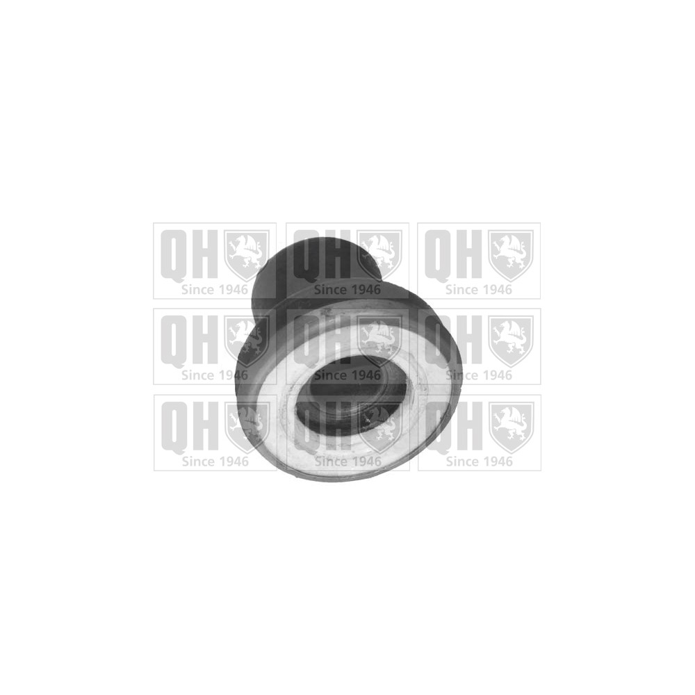 Image for QH EMS8097 Suspension Arm Bush - Front Upper LH & RH (Inner)