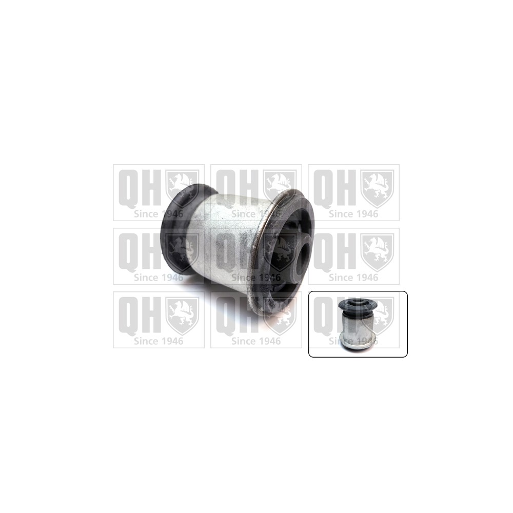 Image for QH EMS8669 Suspension Arm Bush - Front Lower LH & RH (Front)