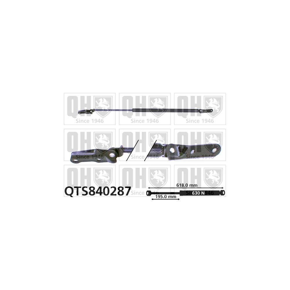 Image for QH QTS840287 Gas Spring