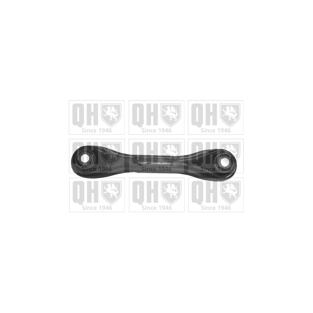 Image for QH QSJ3242S Suspension Arm - Rear Lower LH & RH (Front)