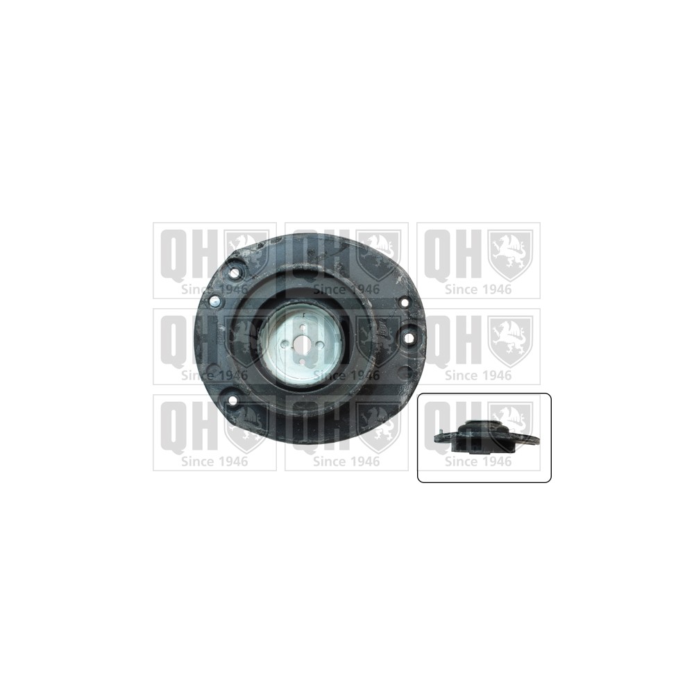 Image for QH EMR6086 Top Strut Mounting - Front exc.Bearing RH