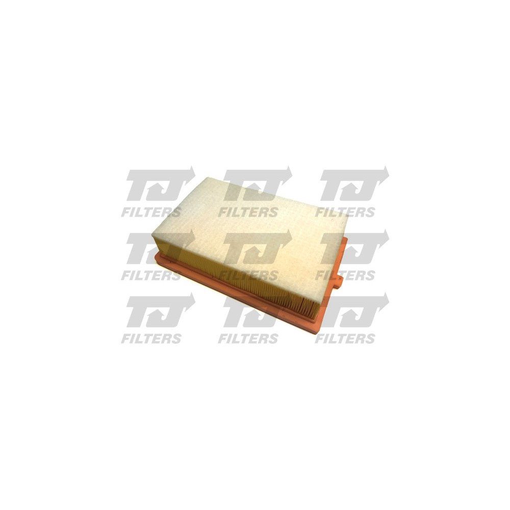 Image for TJ QFA0971 Air Filter