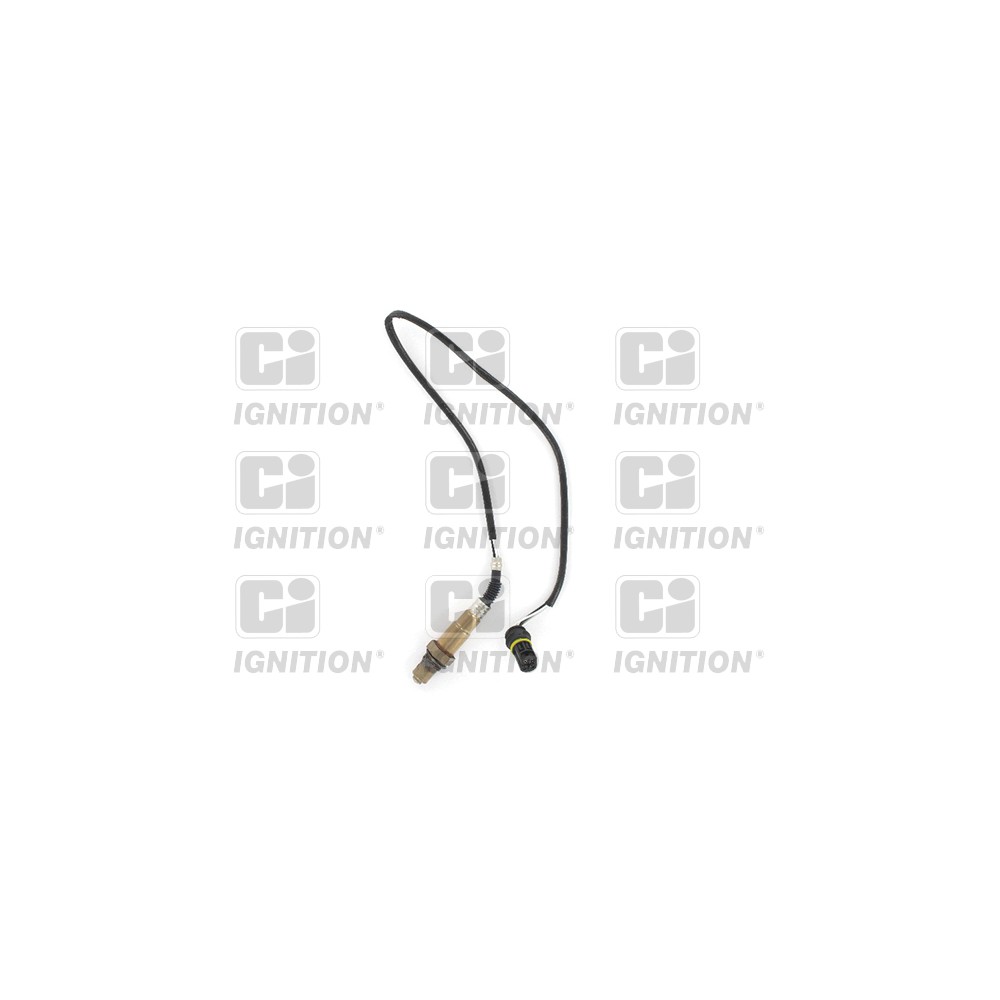 Image for Oxygen Sensor