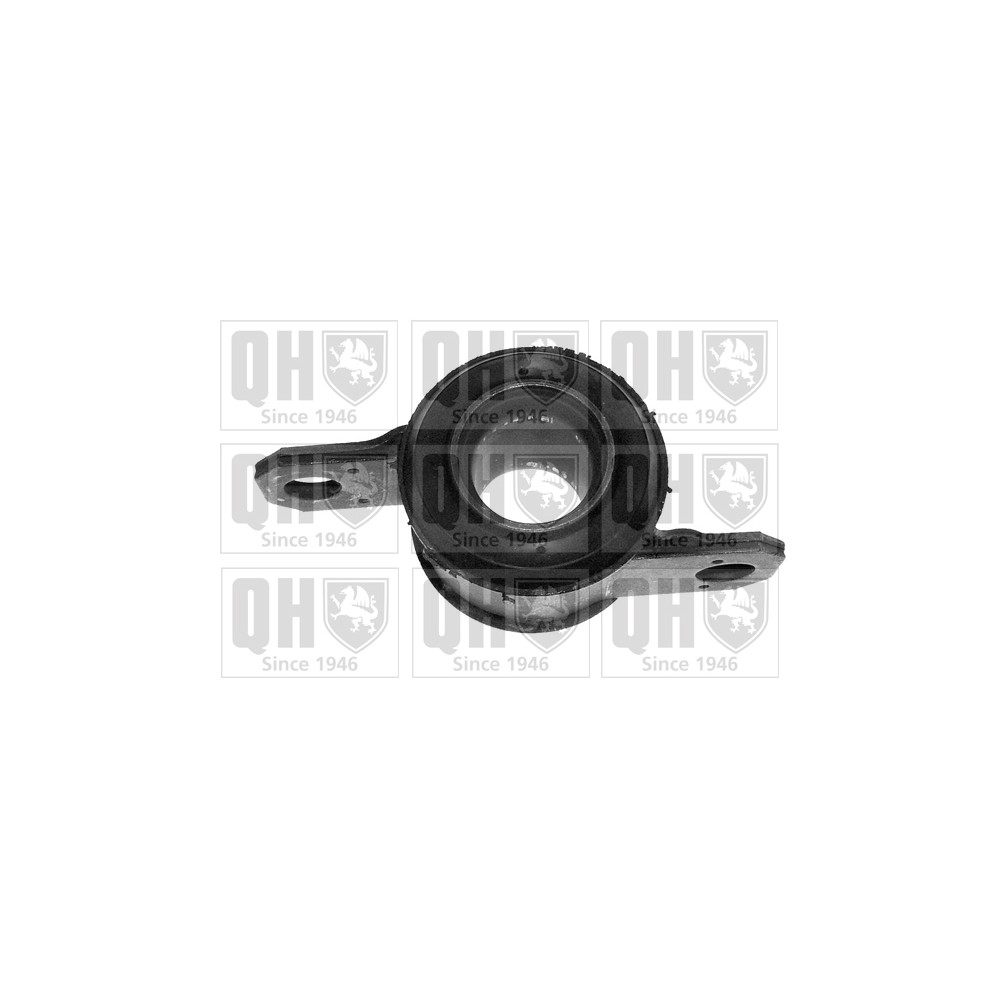 Image for QH EMS2697 Suspension Arm Bush - Front Lower LH & RH (Rear)