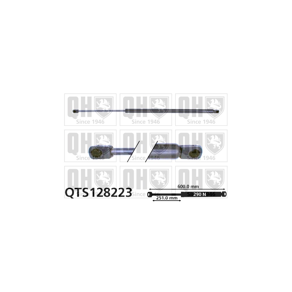 Image for QH QTS128223 Gas Spring