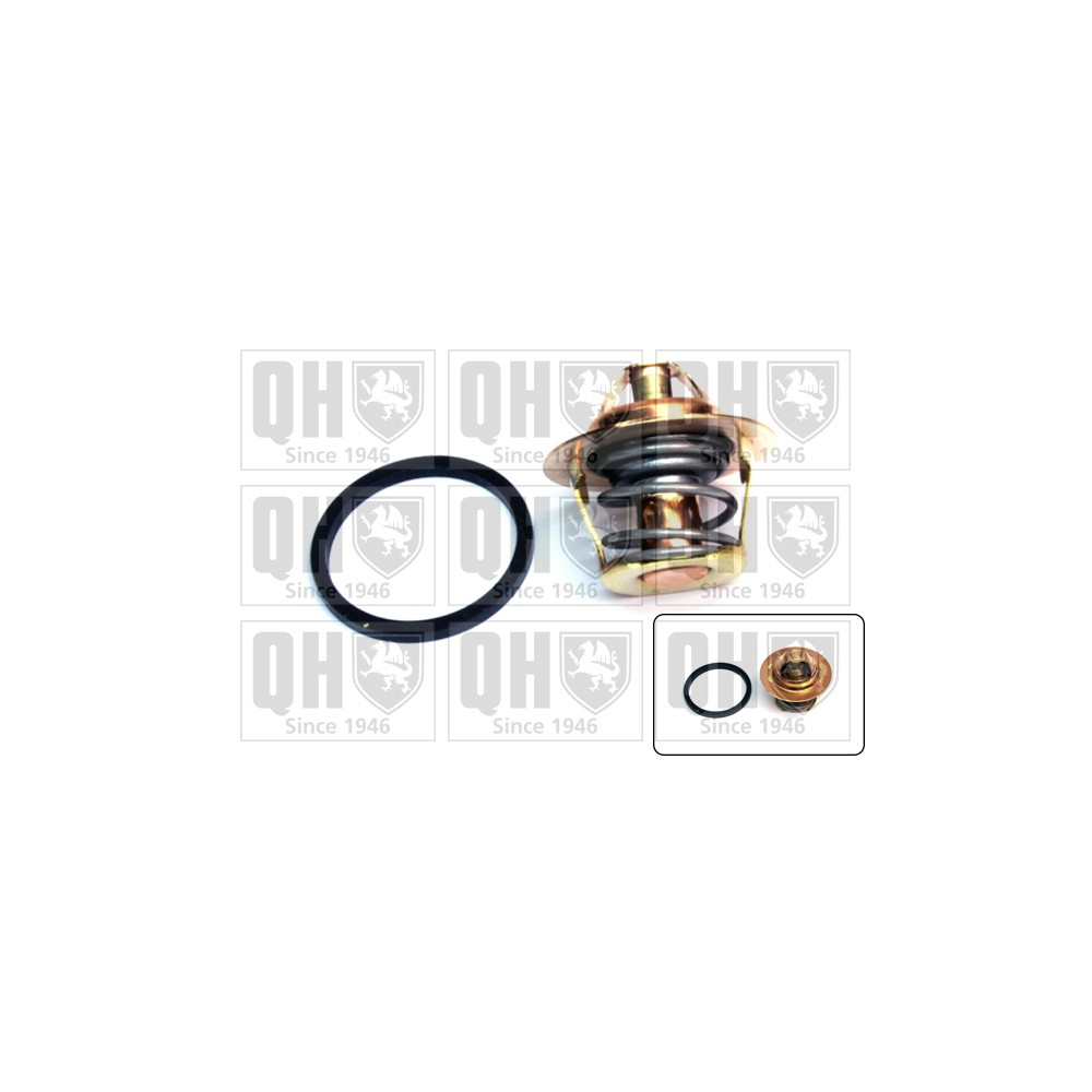 Image for QH QTH229K Thermostat Kit