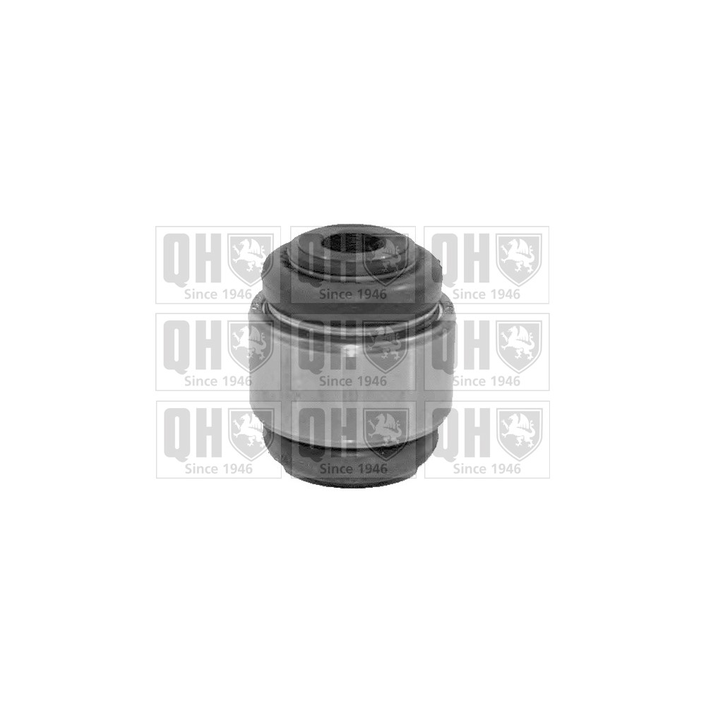 Image for QH EMS8343 Suspension Arm Bush - Rear Upper LH & RH