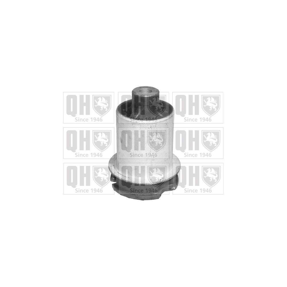 Image for QH EMS4047 Suspension Arm Bush - Rear LH & RH