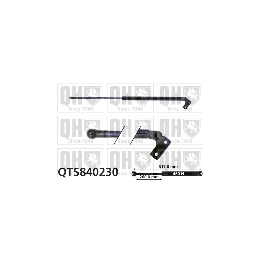 Image for QH QTS840230 Gas Spring