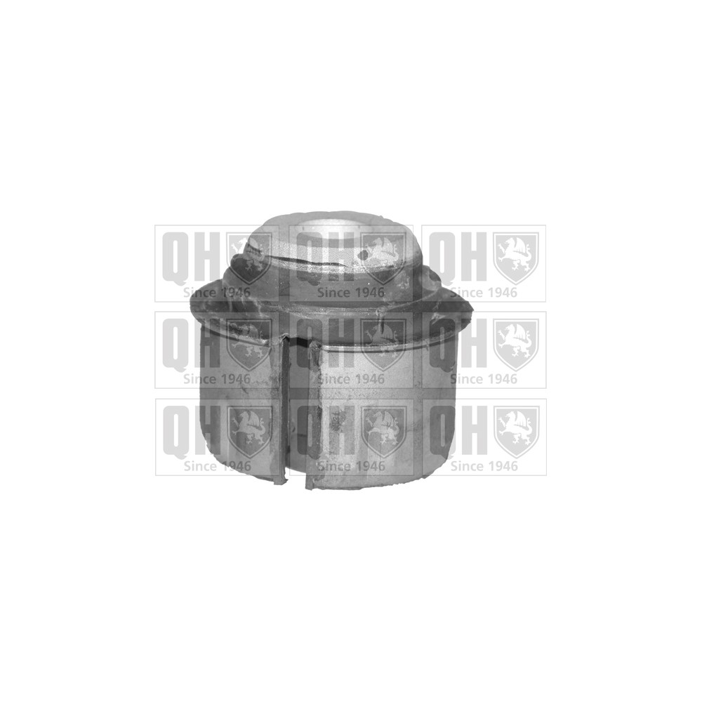 Image for QH EMS8114 Suspension Arm Bush - Front Lower LH & RH (Rear)