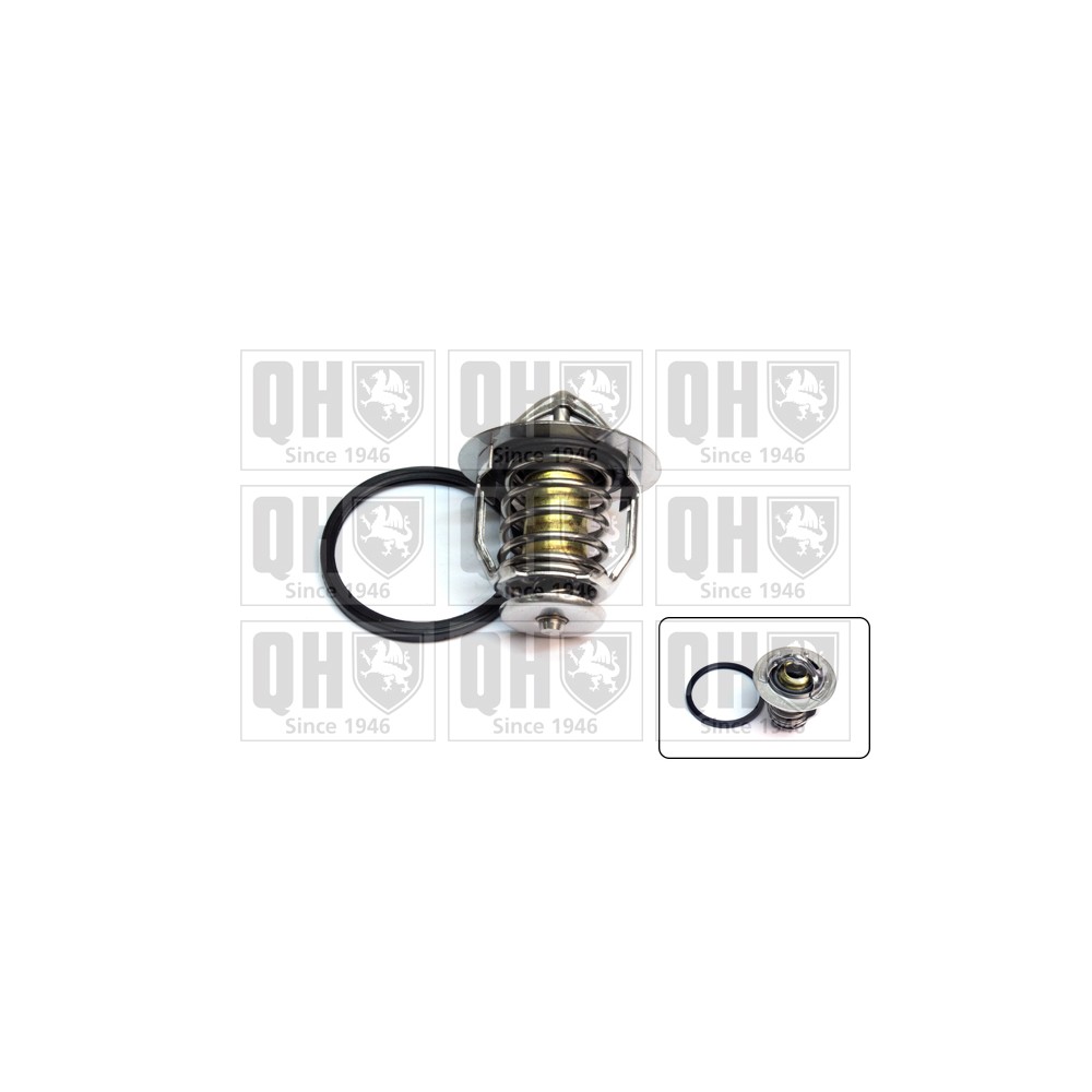 Image for QH QTH669K Thermostat Kit