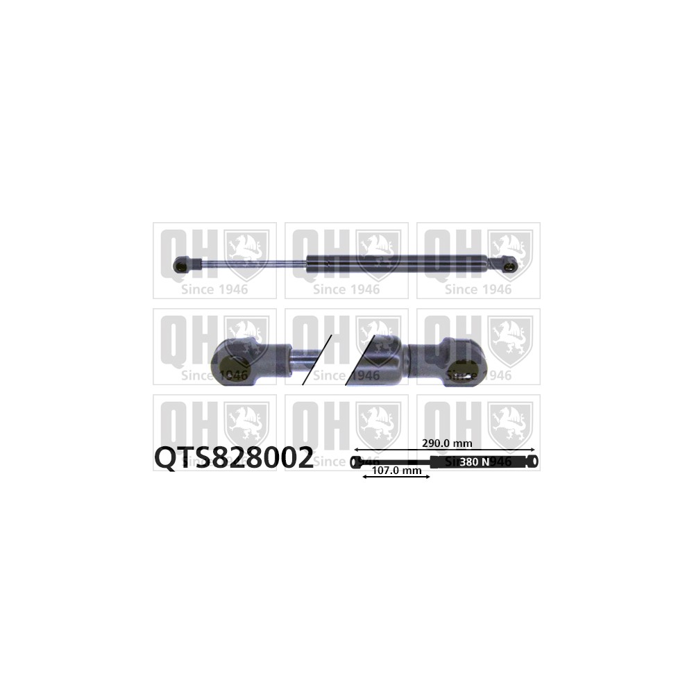 Image for QH QTS828002 Gas Spring