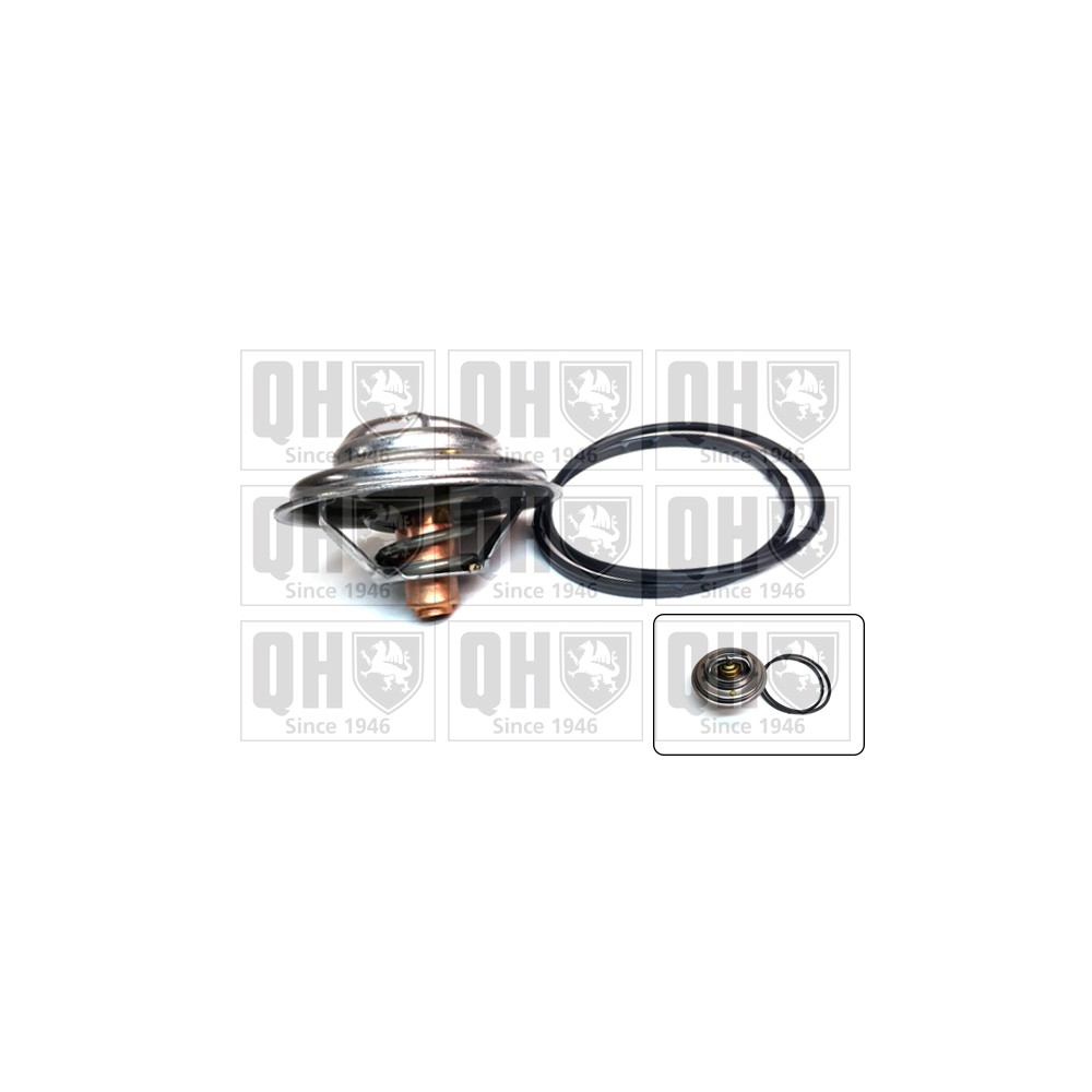 Image for QH QTH920K Thermostat Kit