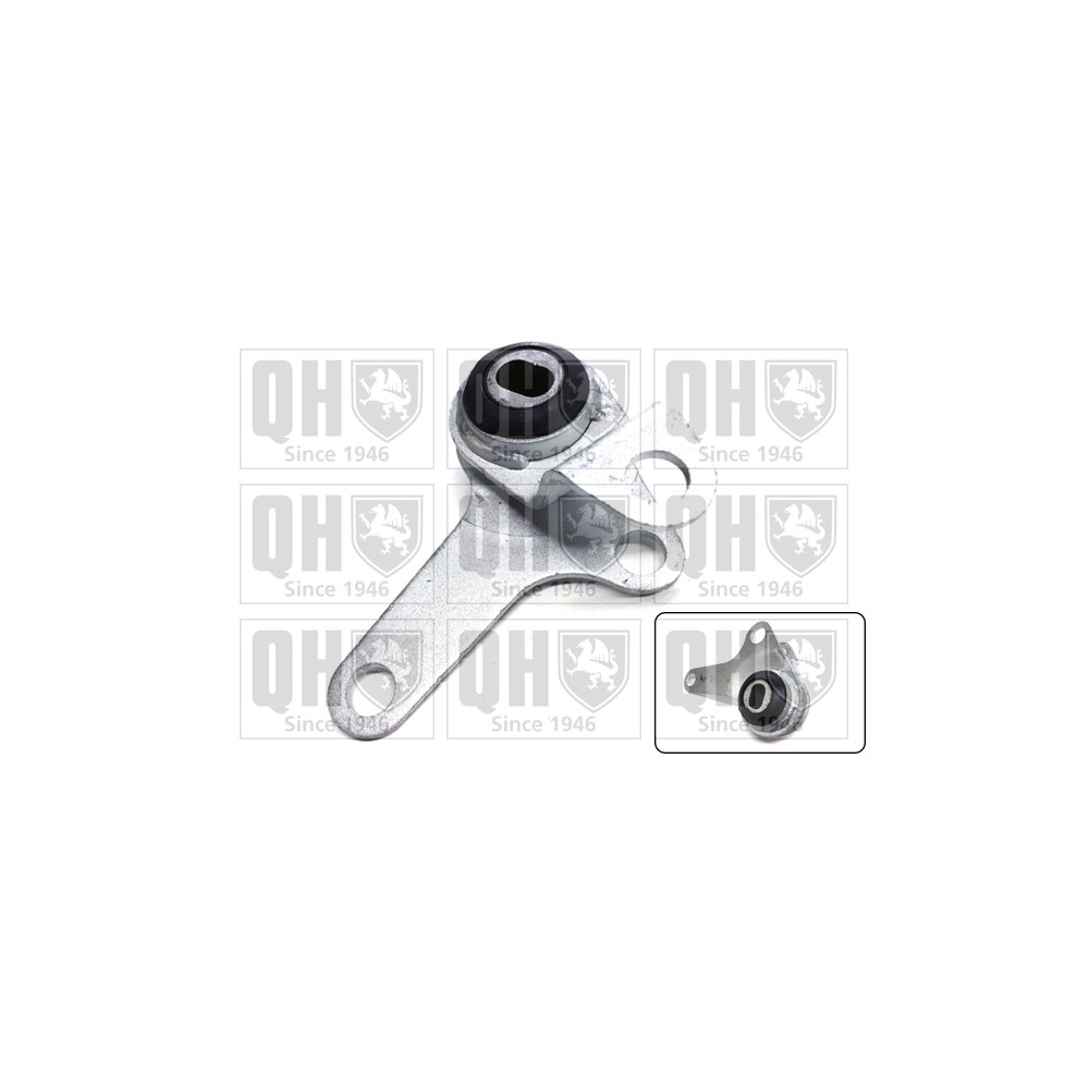 Image for QH EM4797 Engine Mounting