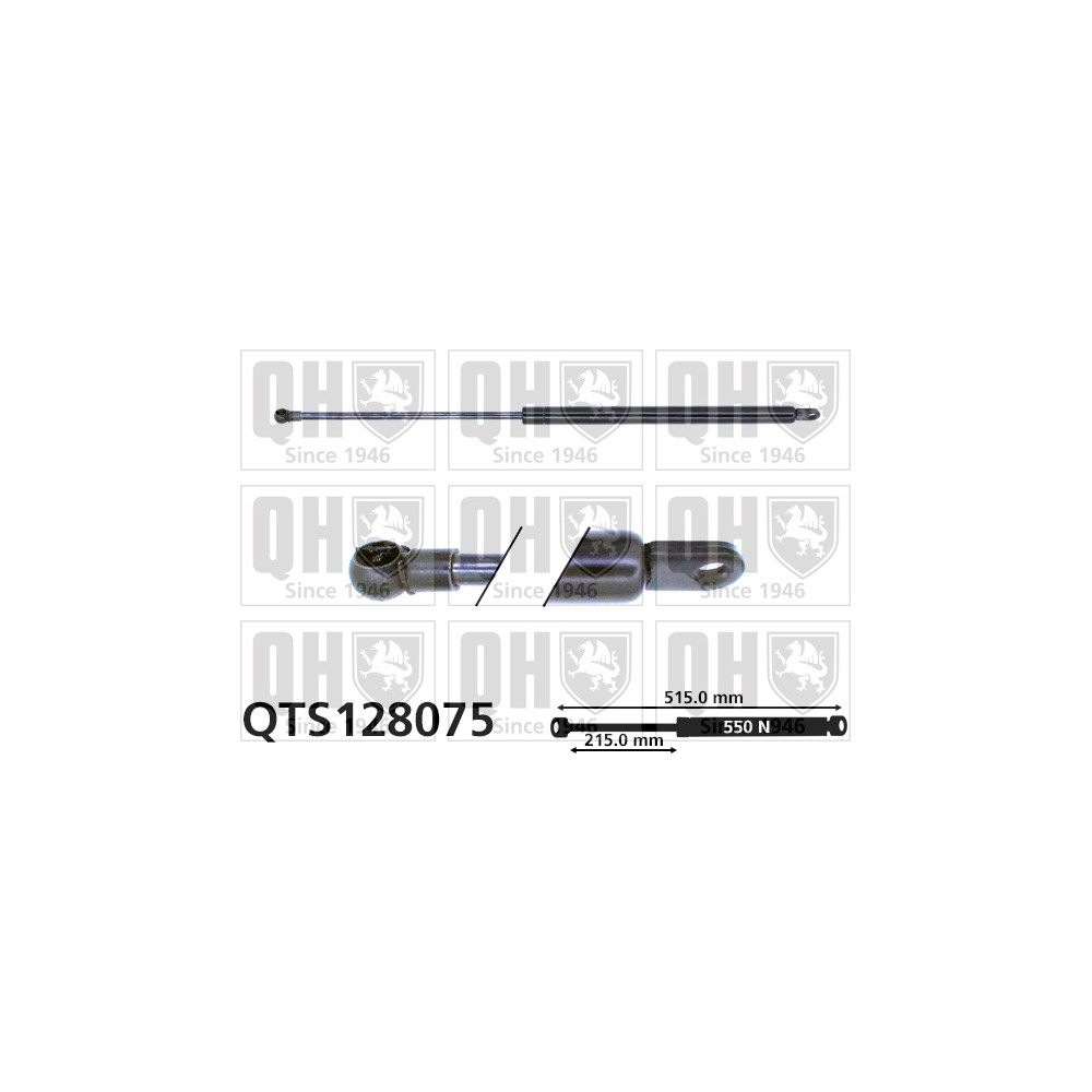 Image for QH QTS128075 Gas Spring