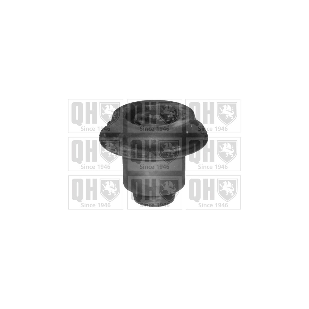 Image for QH EMS4046 Suspension Arm Bush - Rear LH & RH