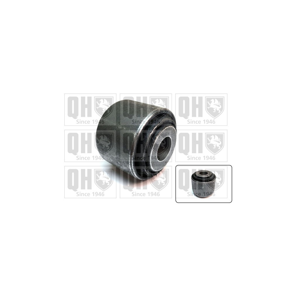 Image for QH EMS8659 Suspension Arm Bush - Rear LH & RH (Upper, Outer, Front)